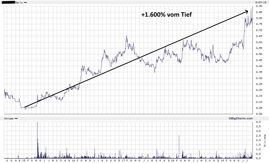 Vom Spinner zum Gewinner: So wird Geld verdient!